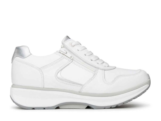 Xsensible New Jersey wit